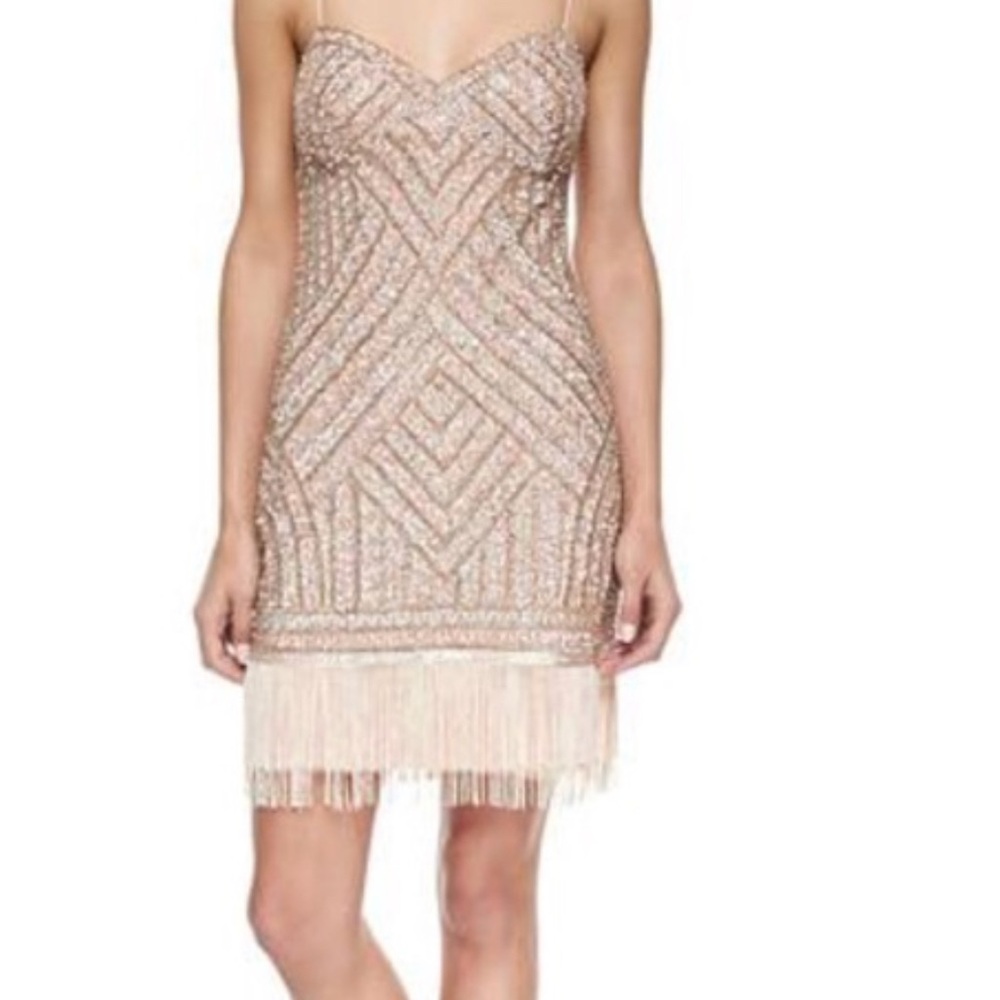 Gianni Bini Pink 20s-Style Cocktail Dress with Fringe